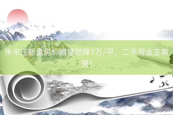 朱辛庄新盘房价瞻望怒降1万/平,二手房业主哀哭!